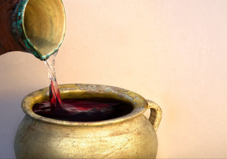 SERATA DI SAN VALENTINO PER LA COPPIA “Il vino migliore” Venerdì 13 febbraio 2026 dalle 18:00 alle 21:00.